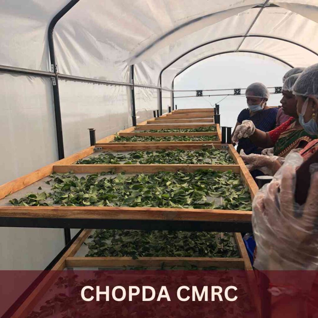 Chopda cmrc-shgmade